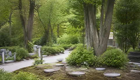 樹木葬・納骨堂・永代供養が選ばれる背景、いいお墓や大野屋で見える供養の多様化